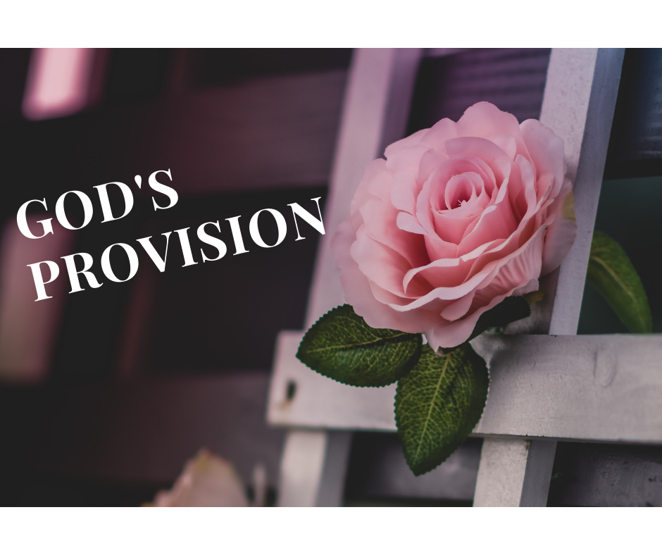 God’s Provision